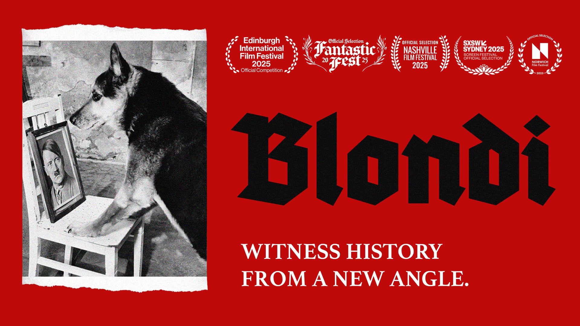 BLONDI (2025) | Trailer