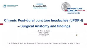 Chronic Post-dural puncture headaches (cPDPH)-Surgical Anatomy and findings-Amir-El Rahal