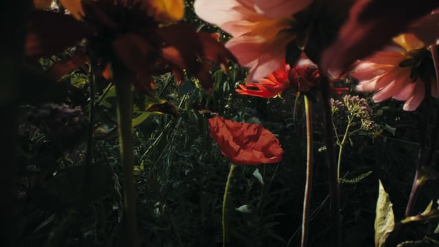 Hornbach - Let Nature Do the Job