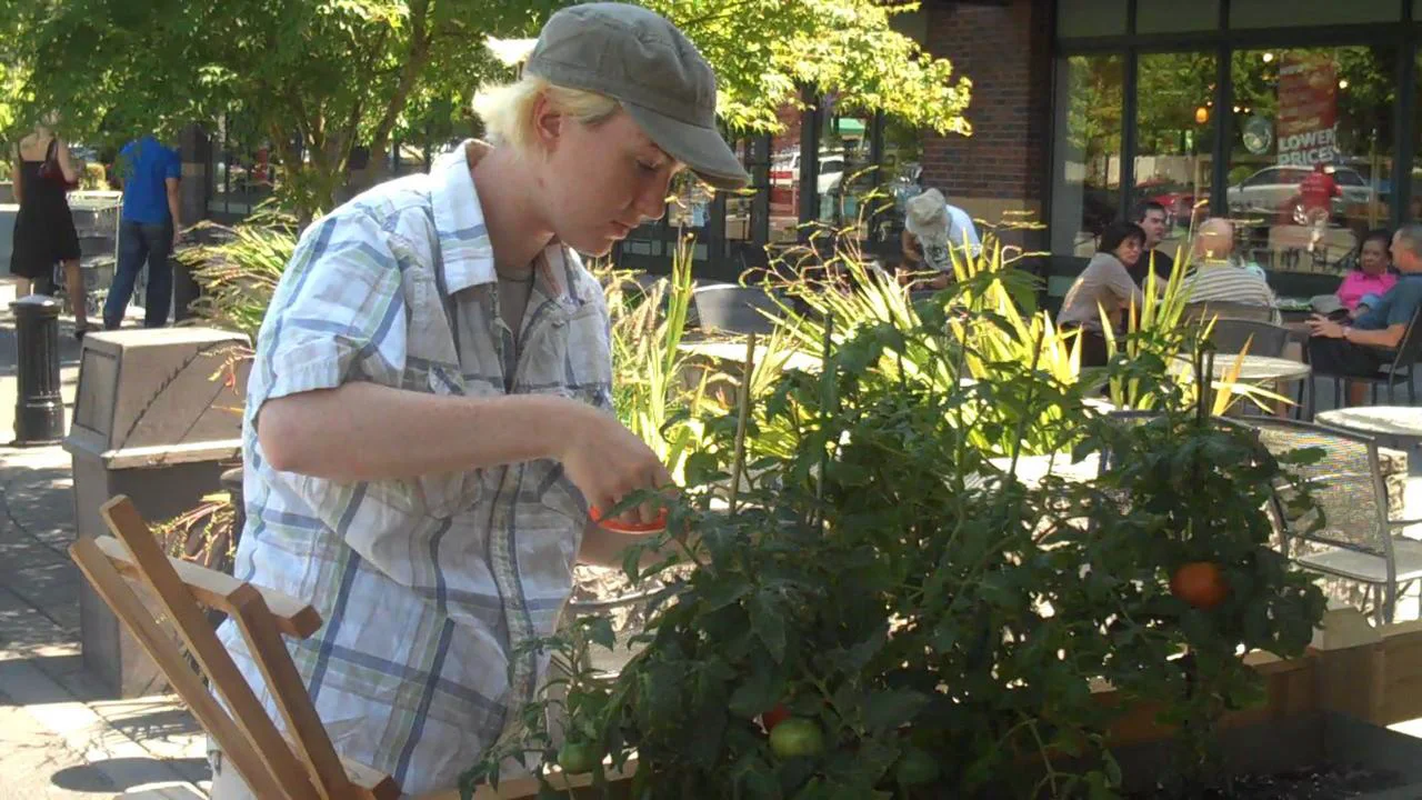 Portland New Seasons-Orenco Station 7-31 6 of 9 on Vimeo