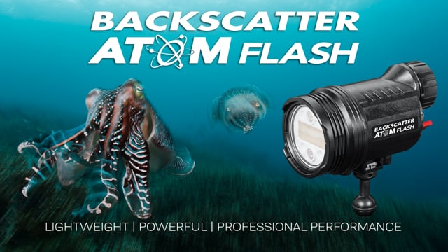 Small Flash BIG Power - The Backscatter Atom Flash Promo