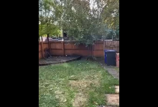 Single  Room | all bills included Main Photo