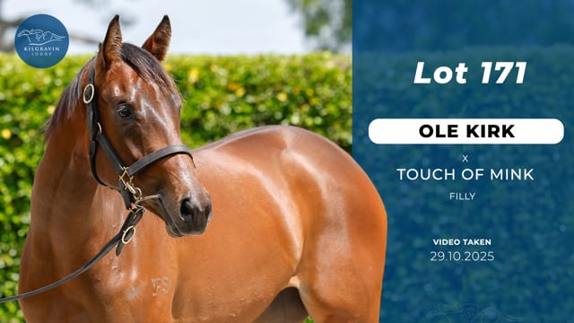 Lot 171