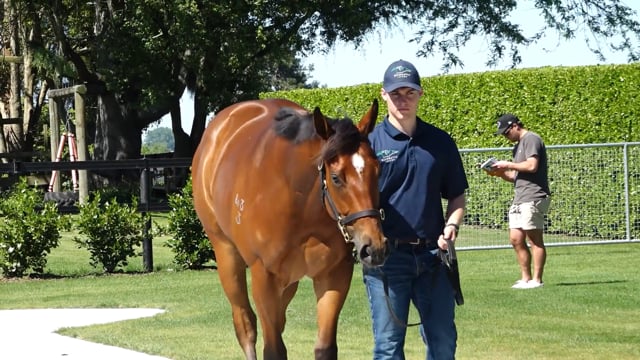 2025 Ready to Run Sale | Kilgravin Lodge