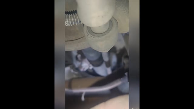 Απεγκλωβισμός γατιού από μηχανή αυτοκινήτου Κώστας Μαμασούλας 7-11-2025