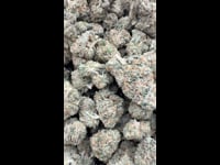 King Louie OG