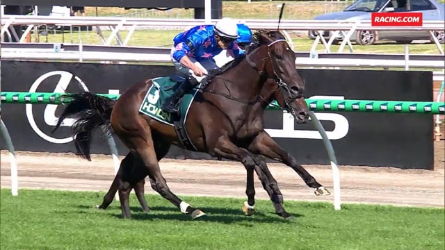 NZB Ready to Run Sale | Feroce (NZ)