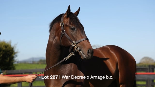 Lot 227