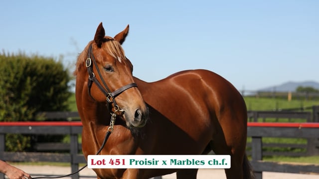 Lot 451