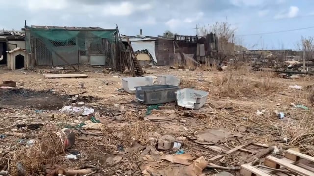 Κρήτη: Κτηνοτρόφος στο Ηράκλειο βασανίζει σκυλιά,πρόβατα, άλογα - Το μαντρί είναι σκουπιδότοπος 6-10-2025