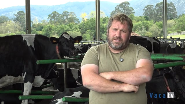 "En UNIFORM estou máis pendente dos secados, das listas de produción e a fertilidade dos touros"