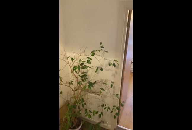 Room to rent in West Hampstead  Main Photo