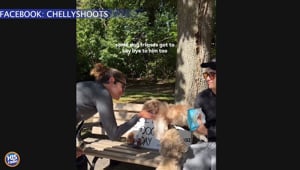 15 Year Old Dog's Final Wish