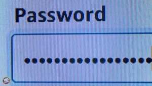The Obvious Security Password to The Louvre