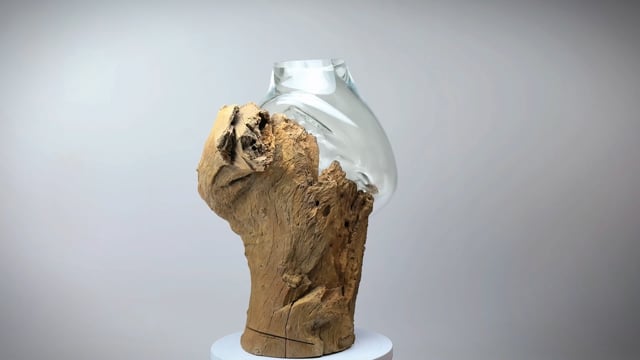 Vaso Tronco  Pequeno Transparente