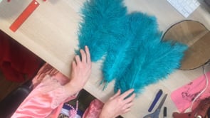 Related Embedded Video Item Thumbnail