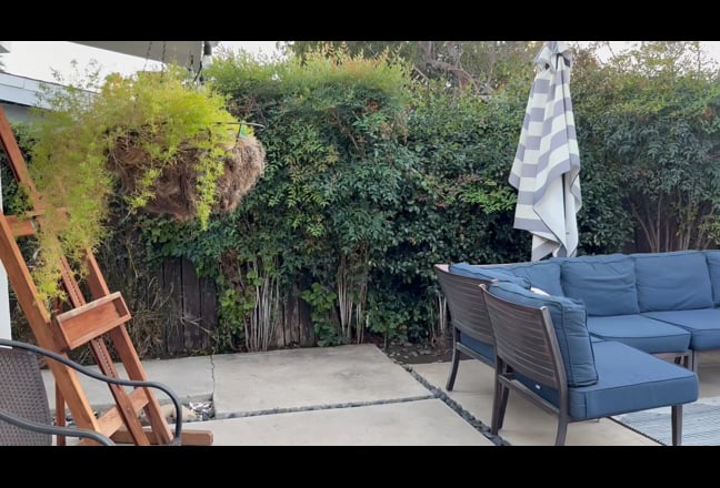 Beautiful Lake Balboa Oasis to call home Main Photo