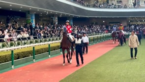 動画サムネイル