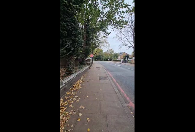 Huge Garden Room close to station  Main Photo