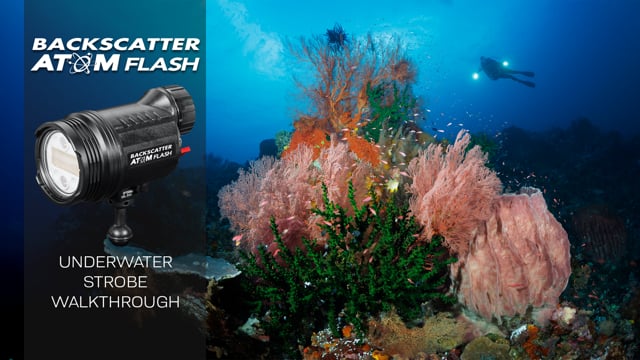 The Most Powerful Compact Strobe - The Backscatter Atom Flash Review