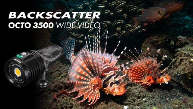 Bright, Bold, & Ready For Action - The Backscatter Octo Wide 3500 Wide Video Light Promo