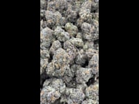 Tasty Waves Keeper Pheno