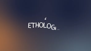 Emilio + Nacho - # 3