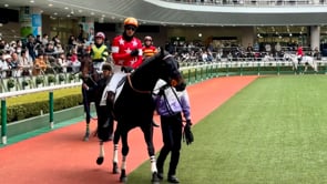 動画サムネイル