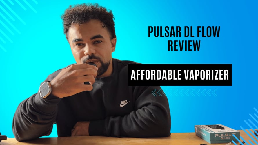 pulsar dl flower dry herb vape bar review Dinner Lady 50K Disposable main image 0