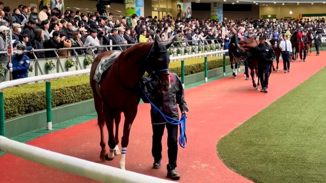 動画サムネイル