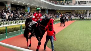 動画サムネイル