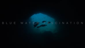 2635_underwater cave with fish and blue ocean in background