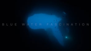 2630_Underwater cave with blue background and light from Scuba Diver