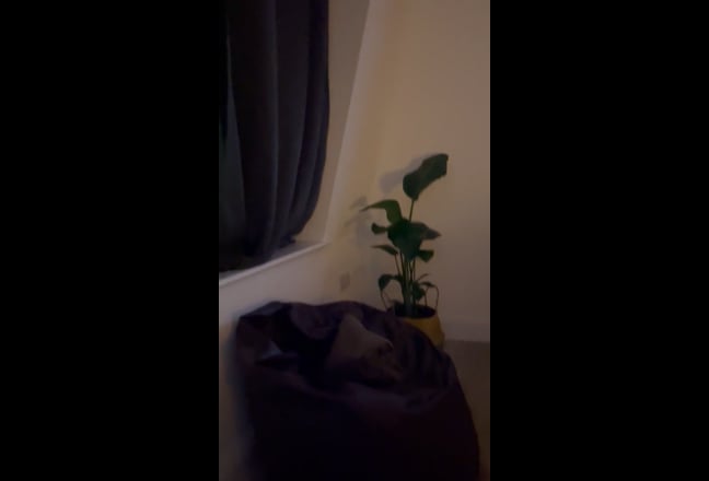 Student: Double room in beautiful flat share  Main Photo