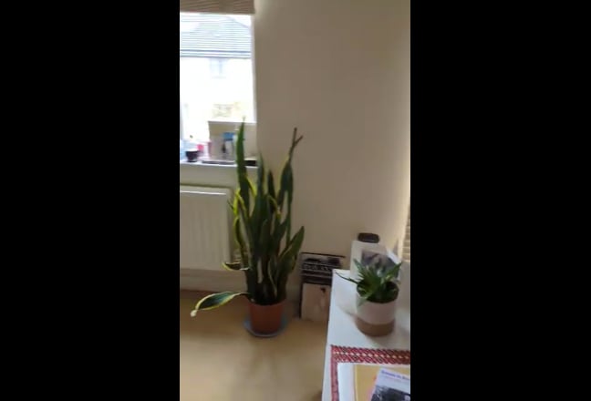 Room to Rent in Peckham  Main Photo