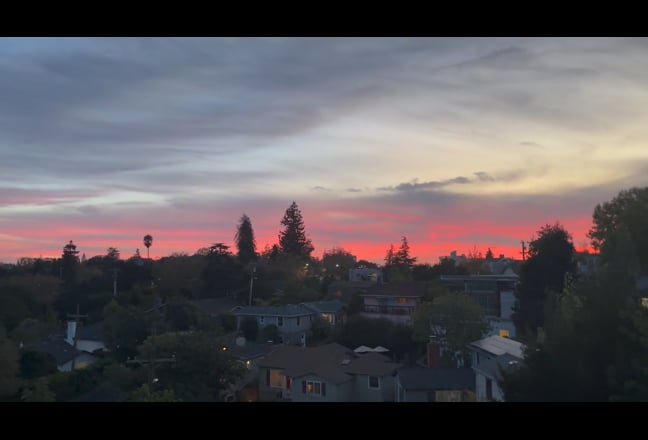 Sunny/LG/View Room in Piedmont, CA.  Main Photo