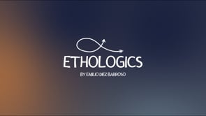 Emilio + Juanita - # 4