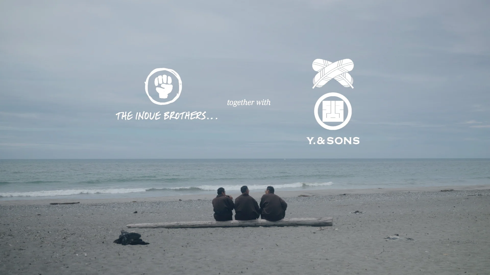 Y. & SONS PROJECT