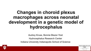 Changes in choroid plexus macrophages across neonatal development in a genetic model of hydrocephalus-Audrey Kruse