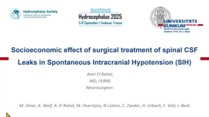Socioeconomic effect of surgical treatment of spinal CSF Leaks in Spontaneous Intracranial Hypotension (SIH)-Amir El Rahal