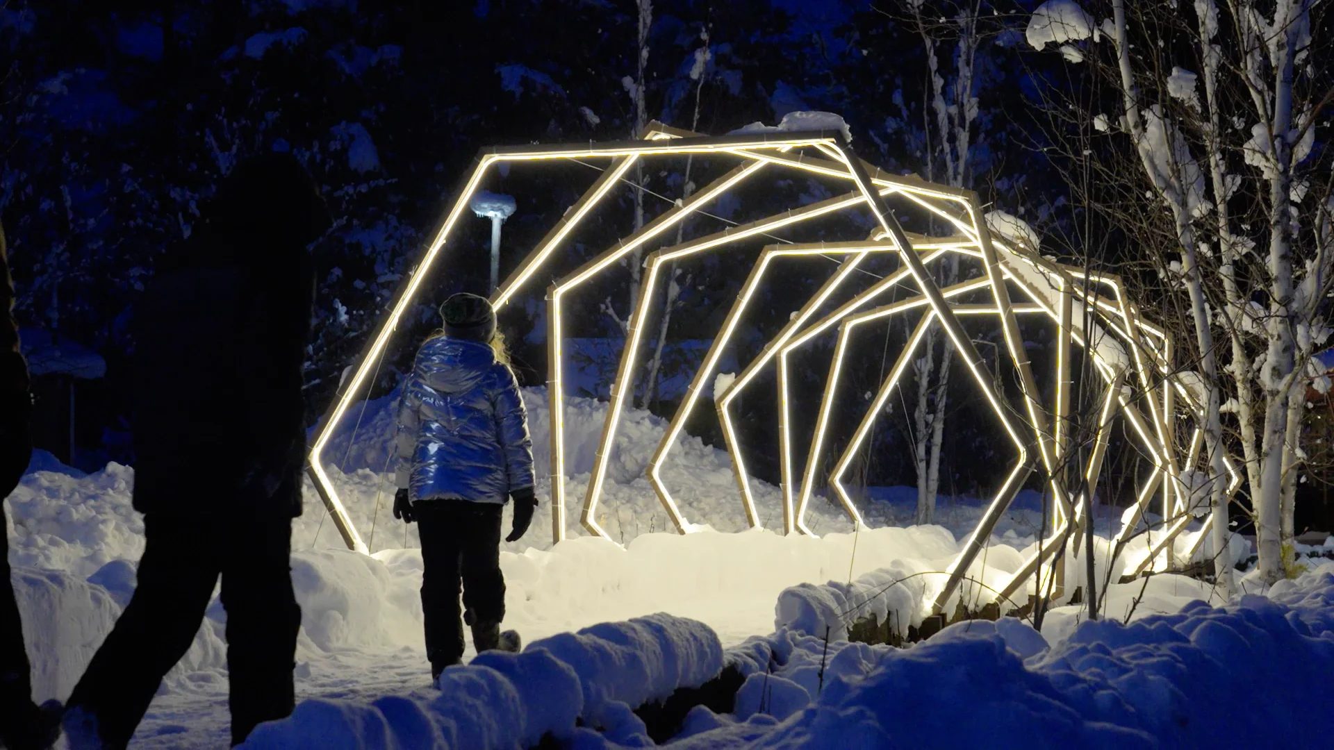 Wild Lights at The Wild Center