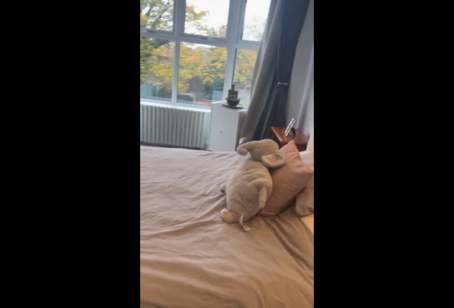 Spacious EnSuite Double in Kensal Green Main Photo