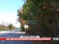 Fermo - Investe lupo e finisce fuoristrada: 30enne salvato grazie allo smartwatch