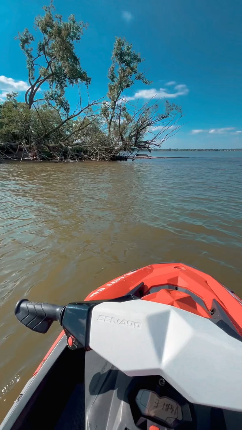 vimeo-video-thumbnail