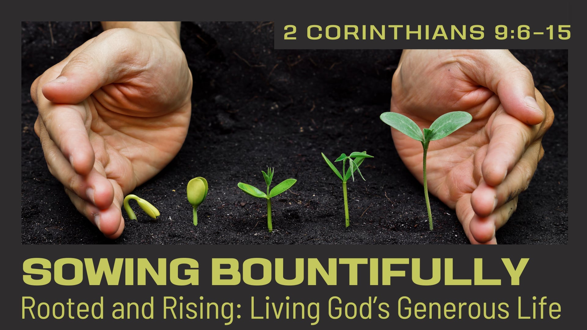 Sunday November 16 "Sowing Bountifully"