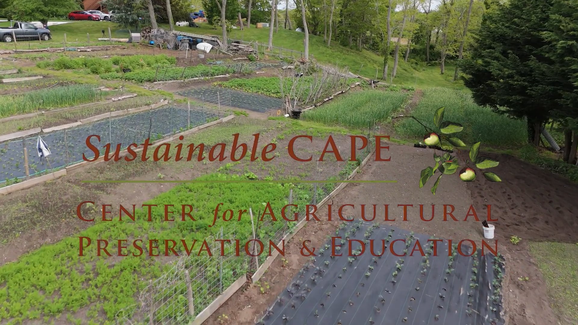 Supporting Food Security