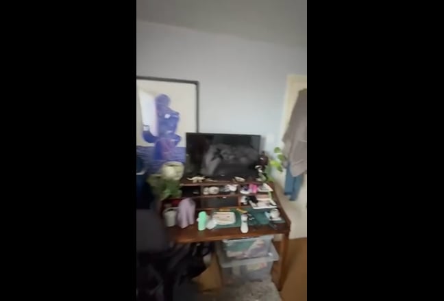 Clapham/Stockwell Room with 2 South Africans Main Photo