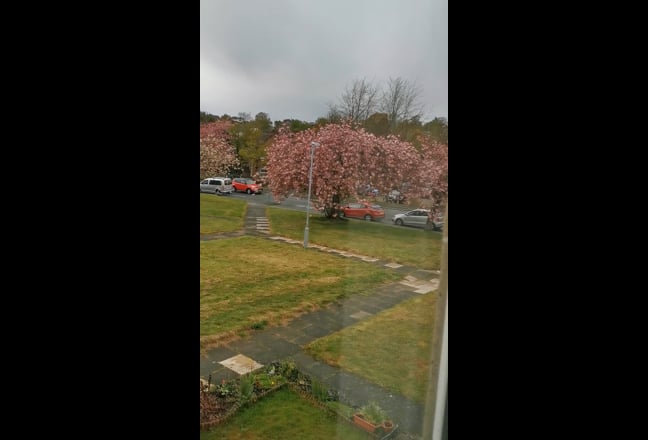 Double room near universities and supermarket   Main Photo