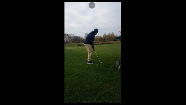 Play swing video