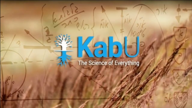 Nov 9, 2025 – Lesson #18 – Importance as Fuel